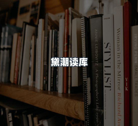 关于黛潮读库
